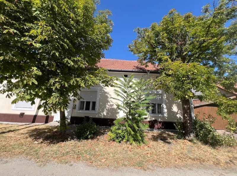 Kistelek, Széchenyi utca családi ház - 160 m2 - Ház