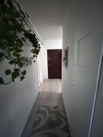 Lugas u. panel lakás - 52 m2 - Panel lakás