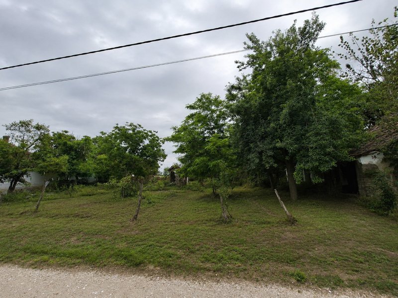 Tompa, Tanya - 2600 nm - 0 m2 - Tanya
